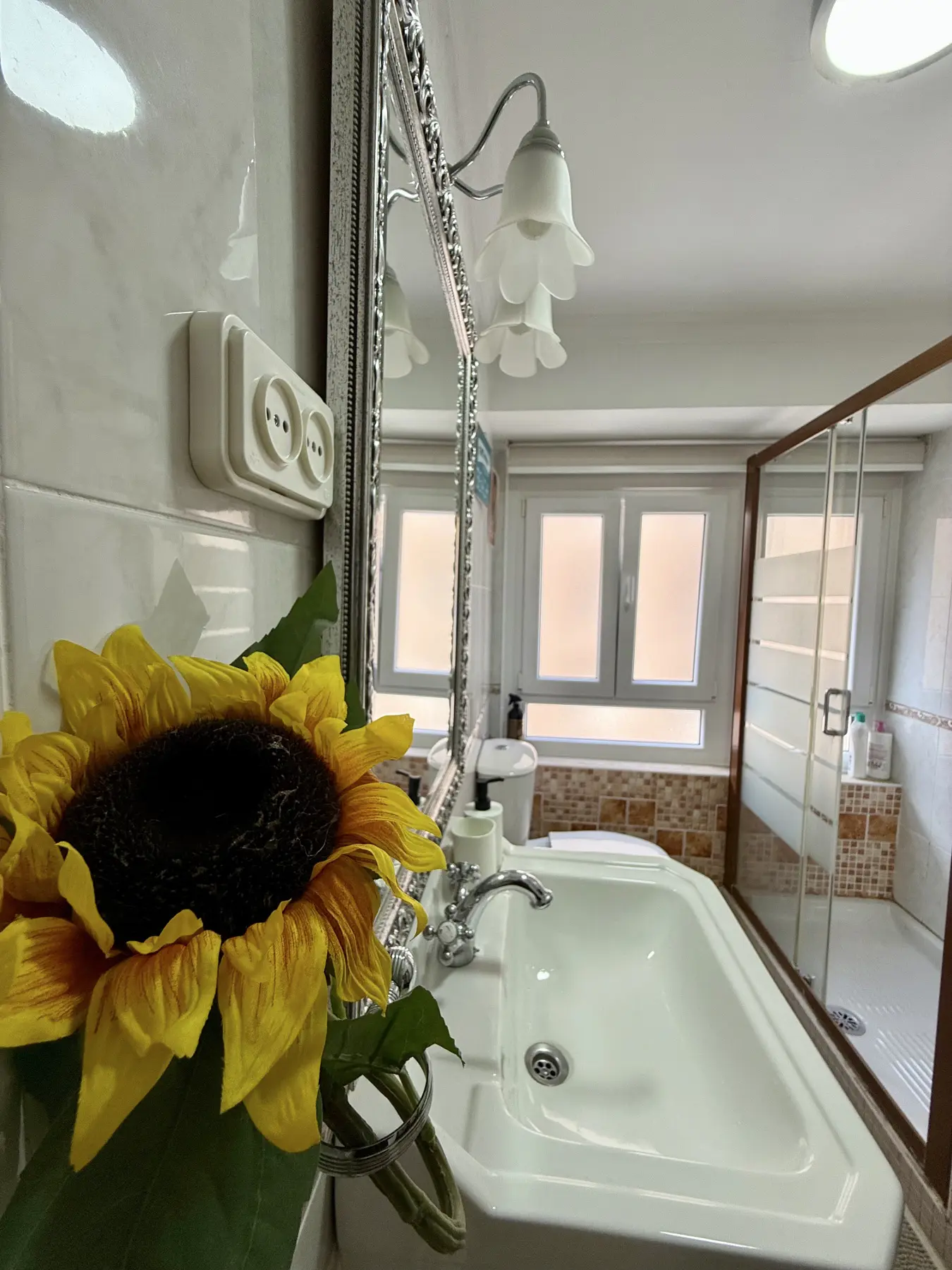 asturplaya-doctor-bellmunt-29